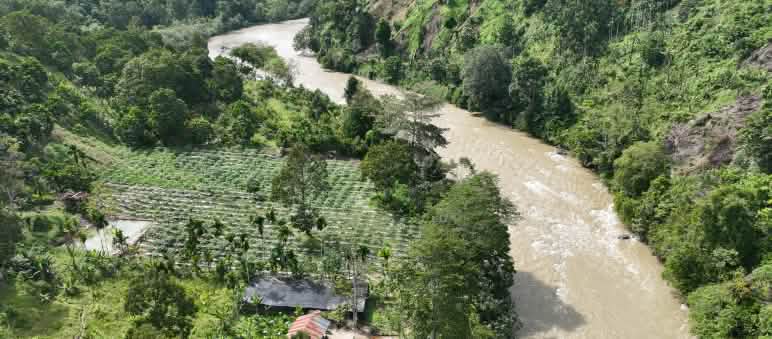 Una foto da drone che mostra un vivaio e una foresta lungo il fiume