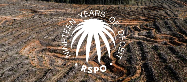Foresta pluviale distrutta per fare spazio alle piantagioni di olio di palma Collage con il sigillo RSPO su un'area di foresta pluviale deforestata: da qui si evince come i consumatori sono stati ingannati per 19 anni.