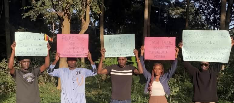 Manifestazione contro la distruzione della foresta.