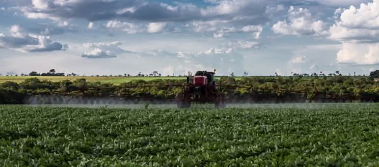 Irrorazione di veleno con trattore in una monocoltura di soia