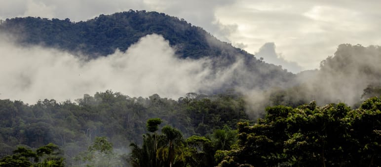 Paesaggio dell'Alto Amazonas nella provincia di Napo, Ecuador, minacciato dalla continua espansione dell'estrazione dell'oro