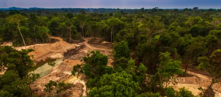 Una miniera d'oro illegale nella foresta tropicale