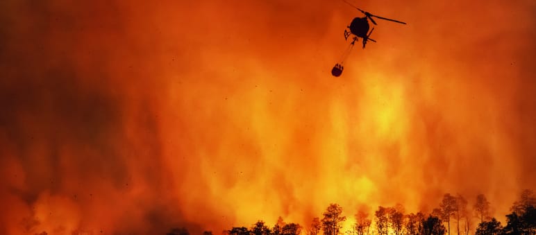 Incendio forestale