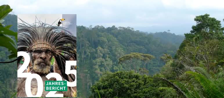 Rapporto annuale 2025, titolo su sfondo di foresta