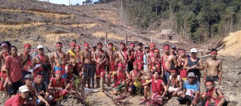 Indigeni Dayak in posa nel mezzo di una foresta tagliata a raso