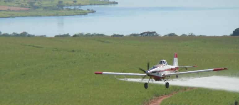 Irrorazione aerea di pesticidi nel Maranhão