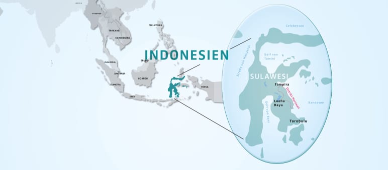 Mappa dell'Indonesia, con in evidenza l'isola di Sulawesi