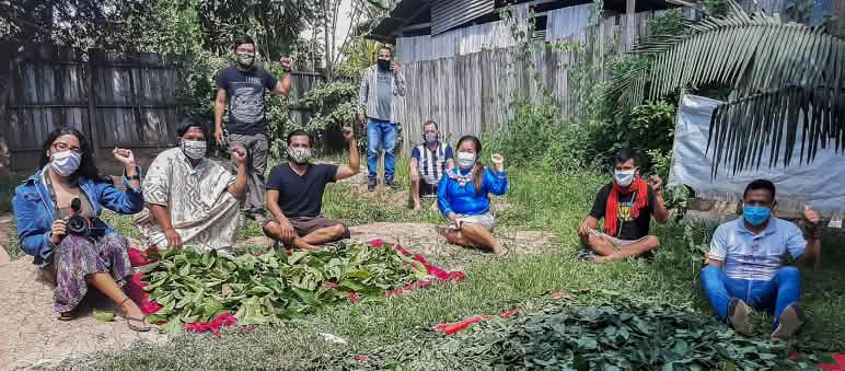 Gruppo Comando Matico Gruppo di indigeni mentre preparano piante per uso medicinale