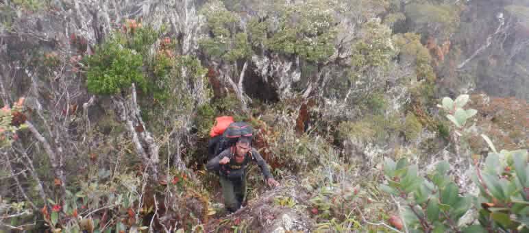 Un ranger con lo zaino in spalla su un terreno accidentato