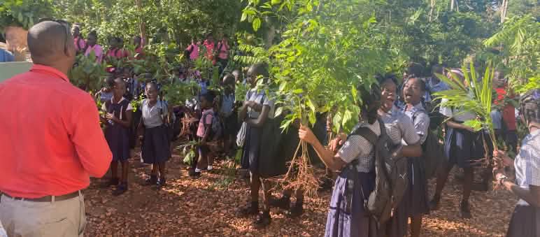 Gli studenti piantano alberi nell'ambito del progetto di riforestazione dell'Università Itinerante della Resistenza, UNIR Haiti