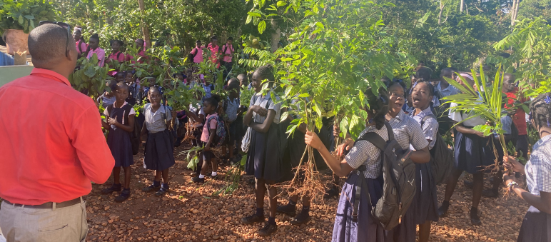 Gli studenti piantano alberi nell'ambito del progetto di riforestazione dell'Università Itinerante della Resistenza, UNIR Haiti