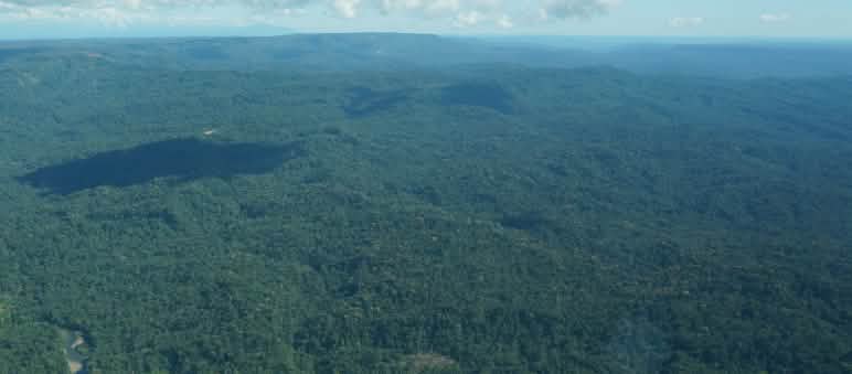 L'Ecuador restituisce ai Sápara 251.503 ettari di foresta amazzonica Veduta aerea della foresta degli indigeni Sápara nell'Amazzonia ecuadoriana