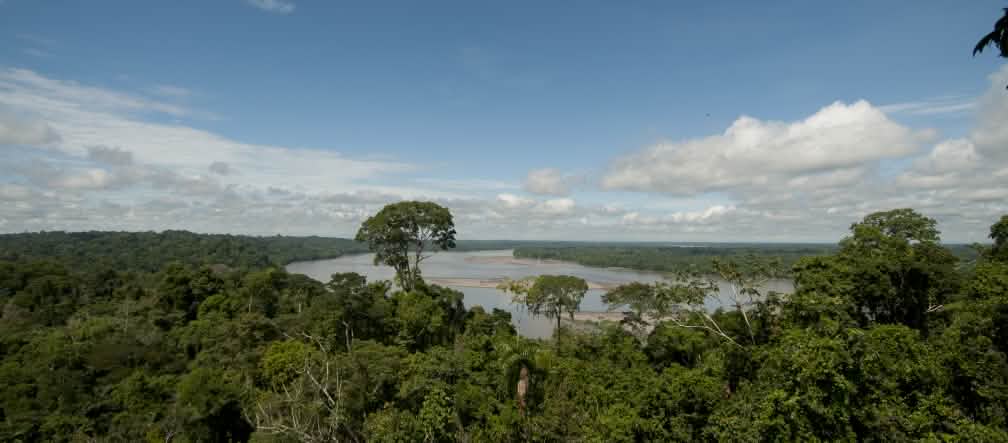 Vista dall'alto della foresta e del fiume nel Parco nazionale Yasuní.