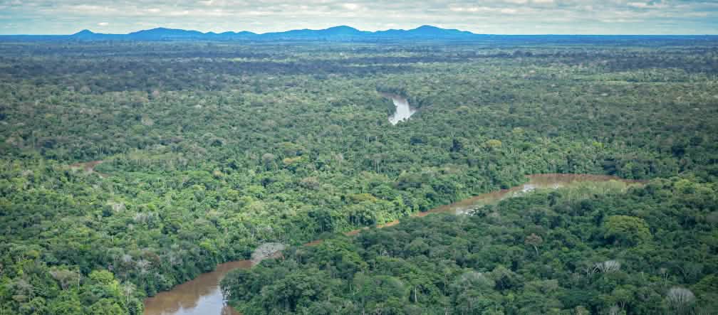 Veduta aerea di un fiume che scorre nella foresta amazzonica in Brasile