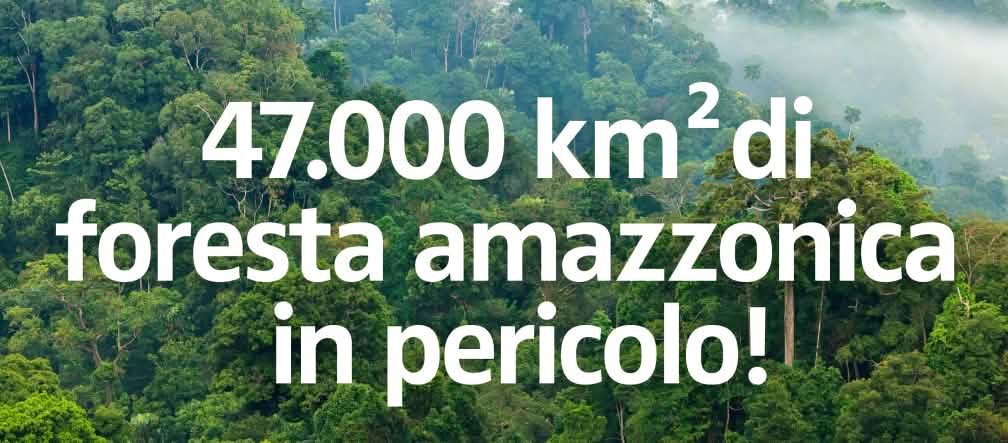 La foresta amazzonica è in pericolo 47.000 km² di foresta amazzonica in pericolo !