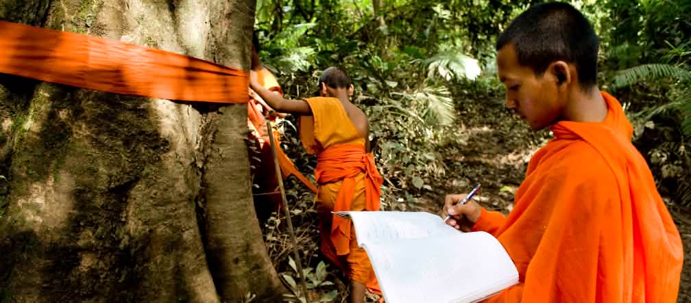 I monaci segnalano e catalogano gli alberi per proteggerli. Foto: Mother Nature
