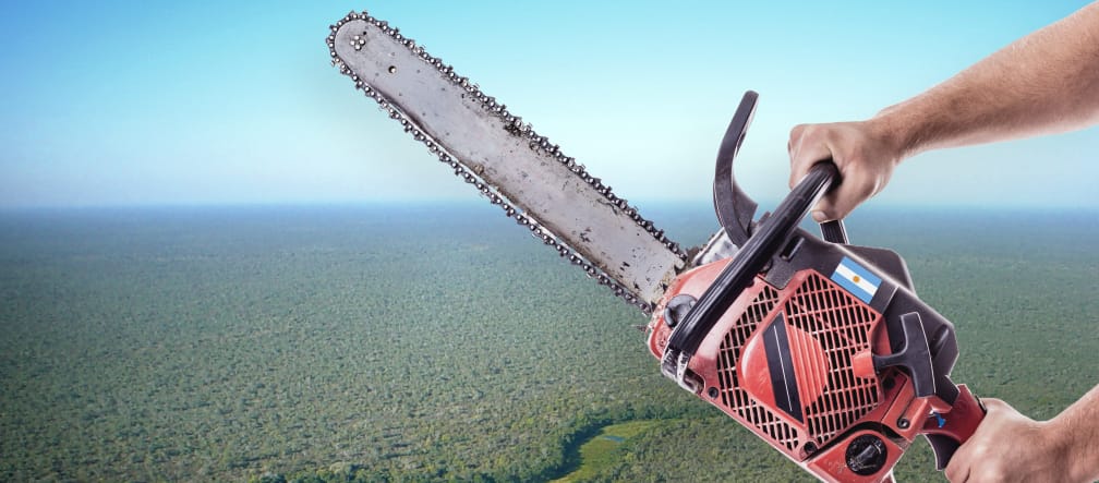 Fotomontaggio: motosega in mano, sullo sfondo si vede il caratteristico paesaggio del Gran Chaco Americano.