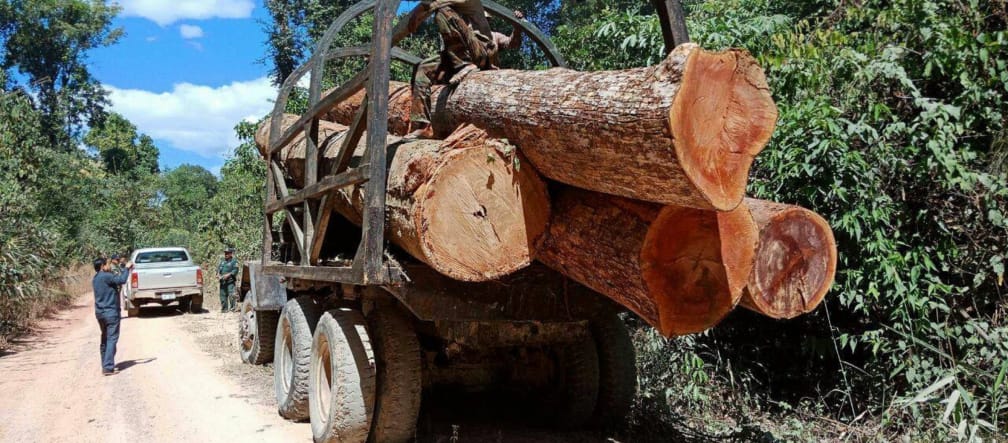 Furto di legno in Cambogia Furto di legno in Cambogia