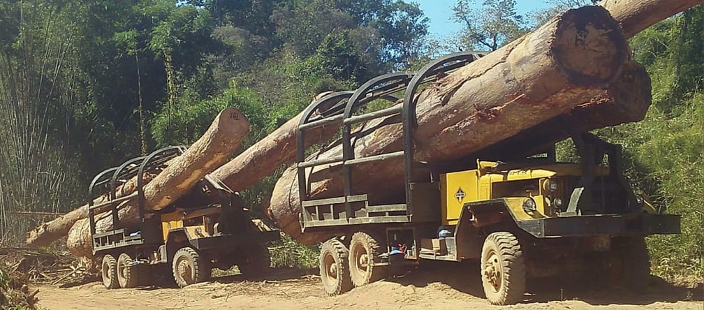 Il contrabbando illegale di legname dalla Cambogia verso il Vietnam Camion per il contrabbando di legno dalla Cambogia verso Vietnam