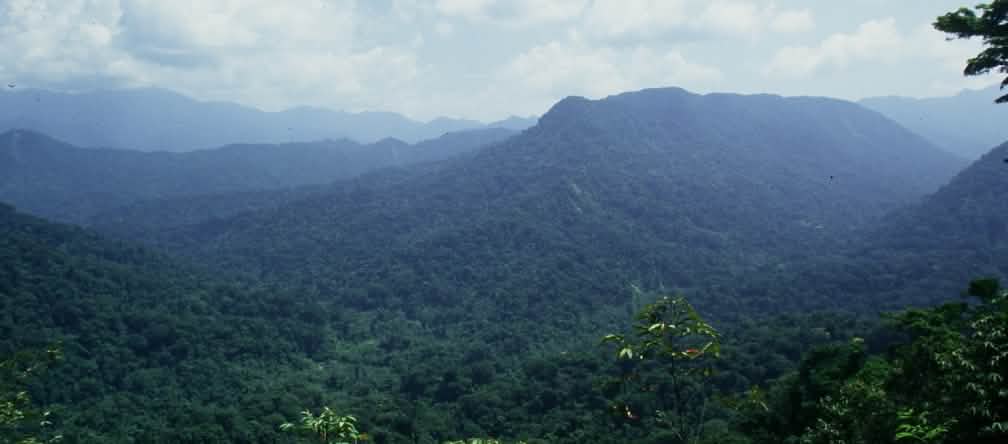 Foresta de Los Chimalapas, Oxaca, Messico Foresta de Los Chimalapas, Oxaca, Messico