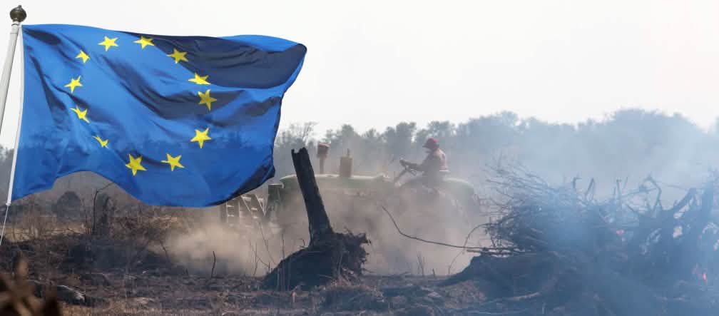 Fotomontaggio: bandiera della UE e foresta incendiata