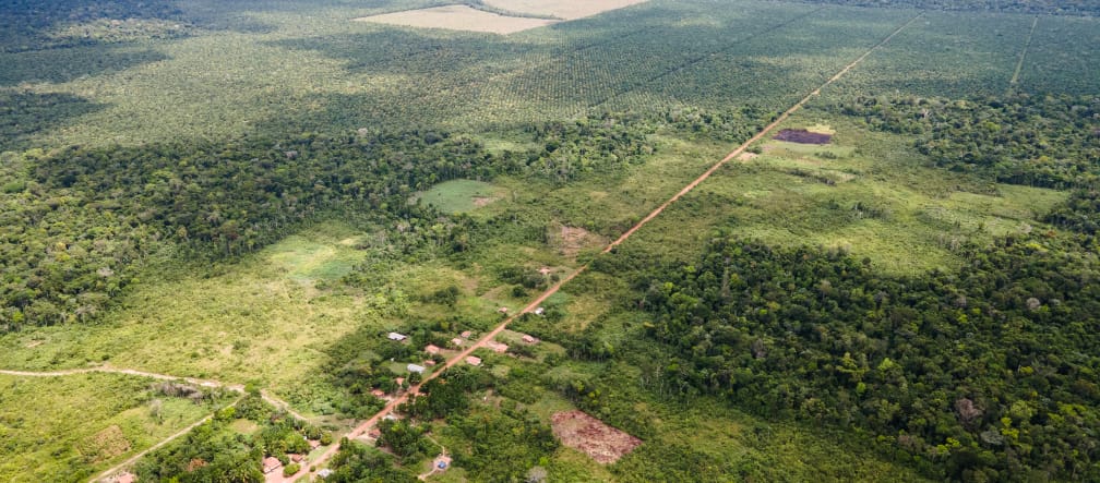 Veduta aerea di una piccola comunità lungo una strada rettilinea, sullo sfondo le piantagioni di palma da olio avanzano e riducono la foresta pluviale.