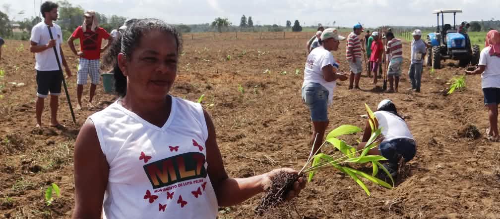 Una donna regge una piccola palma mentre altre persone piantano alberi sullo sfondo.