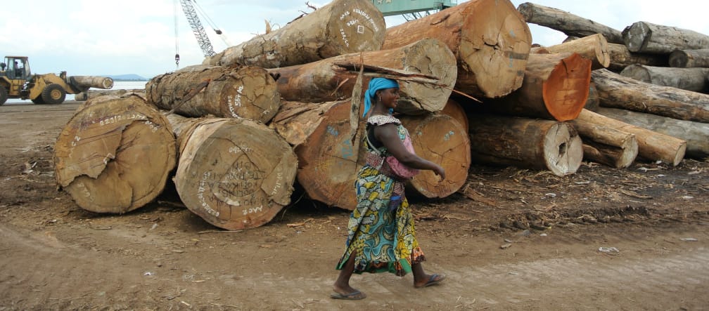 Mucchi di tronchi nel porto di Kinshasa