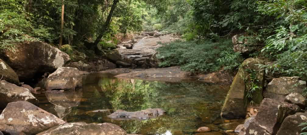 L'acqua scorre lungo il fiume roccioso attraverso la foresta pluviale