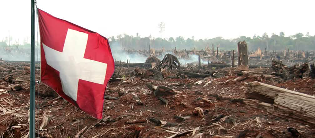 Il governo svizzero dovrebbe rinunciare la libero scambio di olio di palma Foresta bruciata con la bandiera svizzera (fotomontaggio)