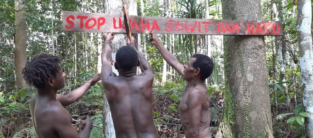 Tre indigeni papuani difendono la loro foresta con uno scudo