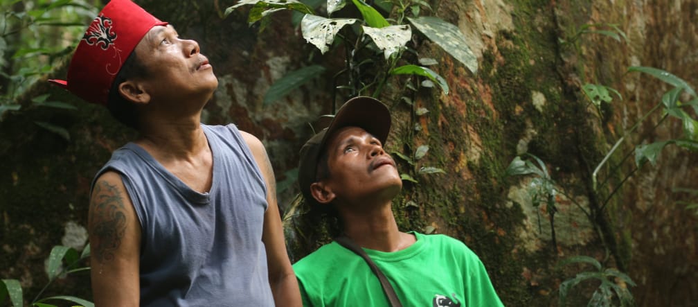 Integranti indigeni Dayak Tomun nella foresta Kinipan