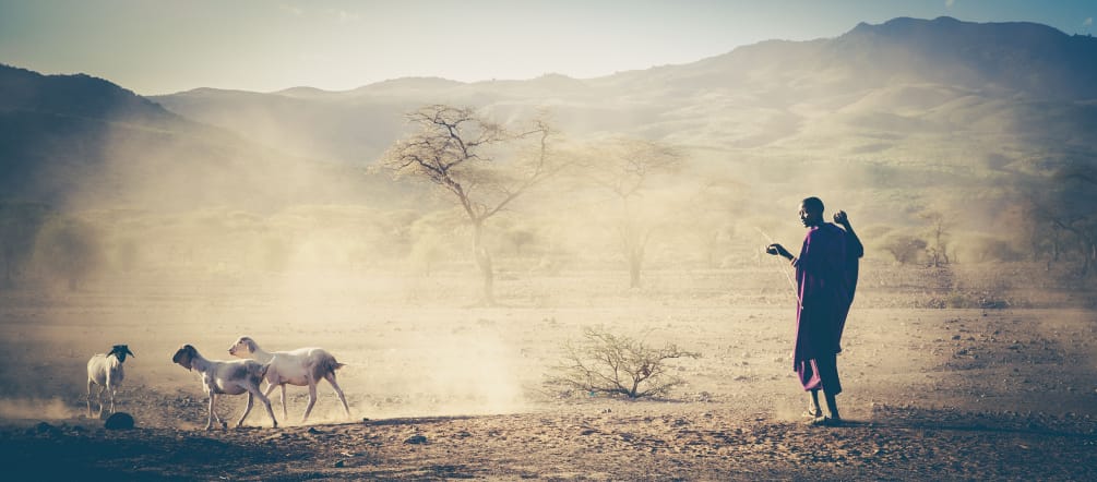 Pastore del popolo Masai in Tanzania