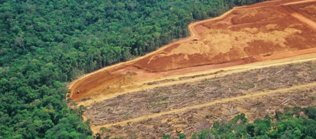 Deforestazione in Brasile