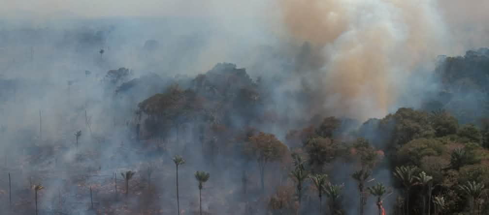 Veduta aerea della foresta amazzonica in fiamme