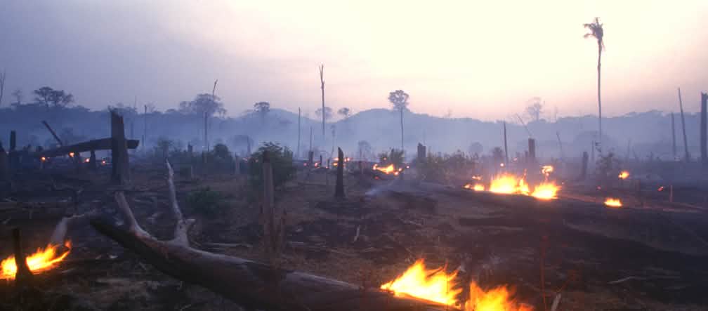 Incendio forestale in Brasile