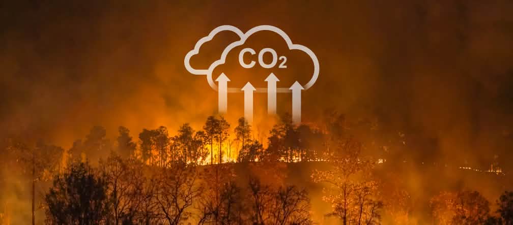 Gli incendi boschivi e la deforestazione contribuiscono alla crisi climatica globale Gli incendi boschivi e la deforestazione contribuiscono al riscaldamento globale