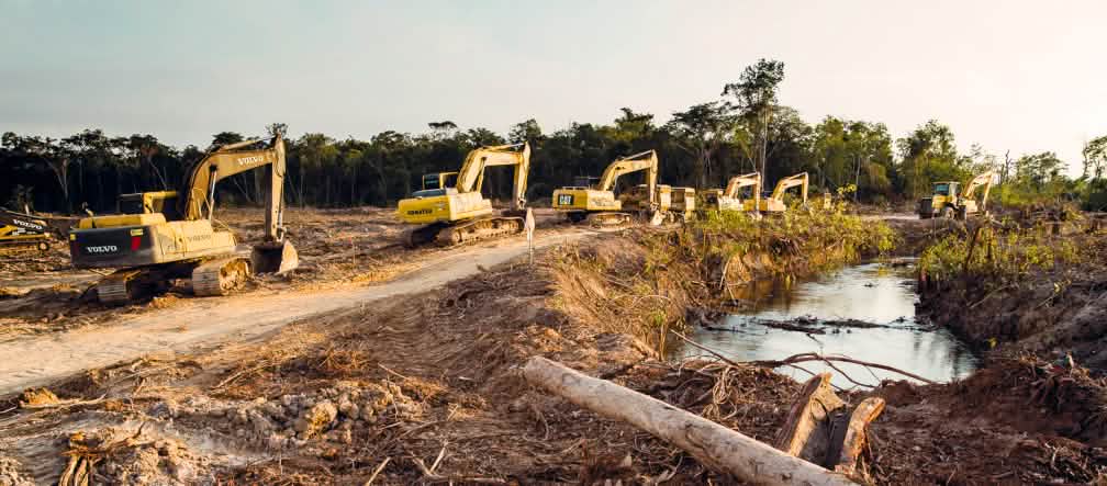 Le escavatrici in fila indiana entrano nella foresta