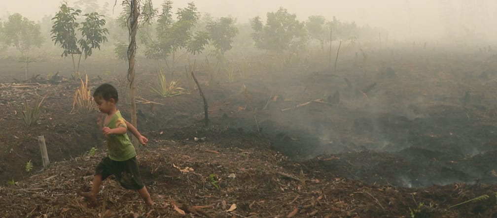 Bambino che cammina su una torbiera in fiamme a Katingan, Borneo