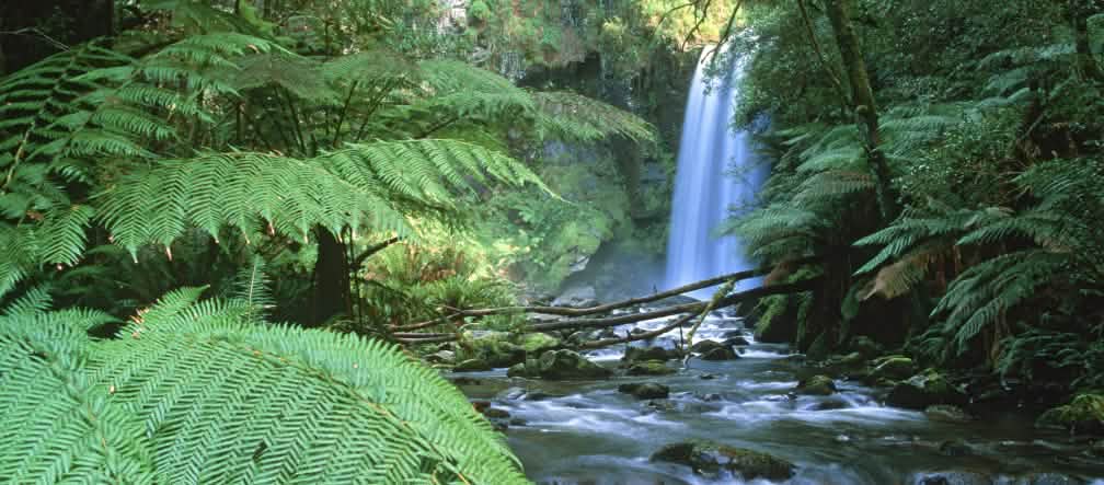 Cascata