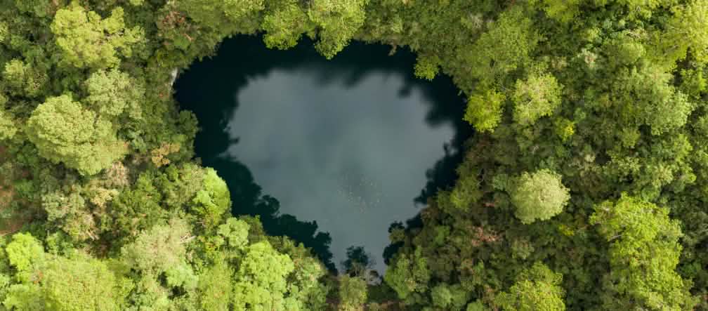 Una laguna a forma di cuore dalle acque scure circondata da una fitta selva verde; vista dall’alto si distingue chiaramente il contrasto tra l’acqua e la foresta.