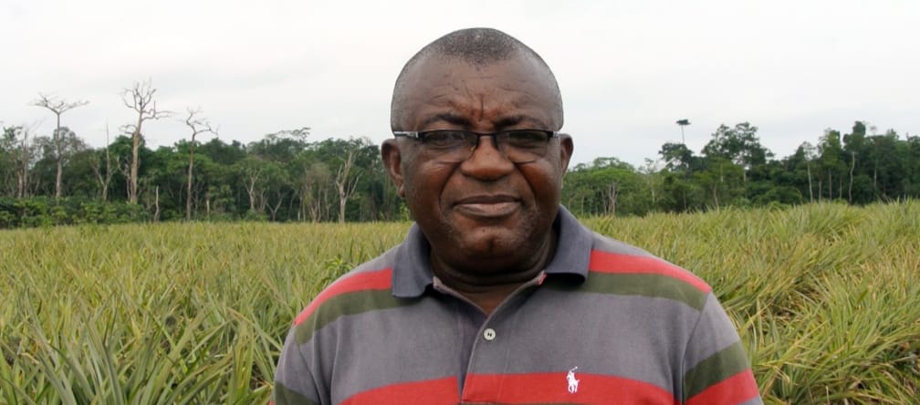 Odey Oyama si oppone alle piantagioni di ananas nel Parco Nazionale di Cross River Odey Oyama in una piantagione di ananas/ananá nel Parco Nazionale di Cross River in Nigeria