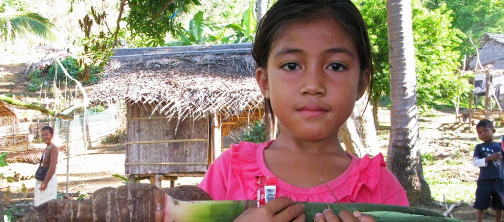 Le famiglie indigene di Palawan coltivano frutta e verdura in piccoli giardini nella foresta Una bambina di Palwan ha tra le braccia il Taro, un vegetale locale, e sullo sfondo si intravede il villaggio