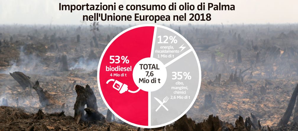 Importazioni e consumo di olio di Palma nell'Unione Europea nel 2018 Importazioni e consumo di olio di Palma nell'Unione Europea nel 2018