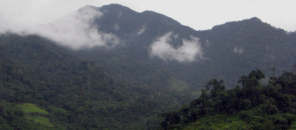 Paesaggio montano coperto da una fitta foresta