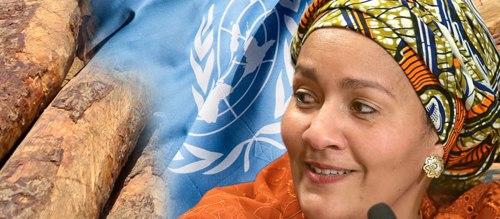 Sig.ra Amina J. Mohammed, Vicesegretaria generale delle Nazioni Unite accanto al tronco di palissandro e la bandiera delle Nazioni Unite