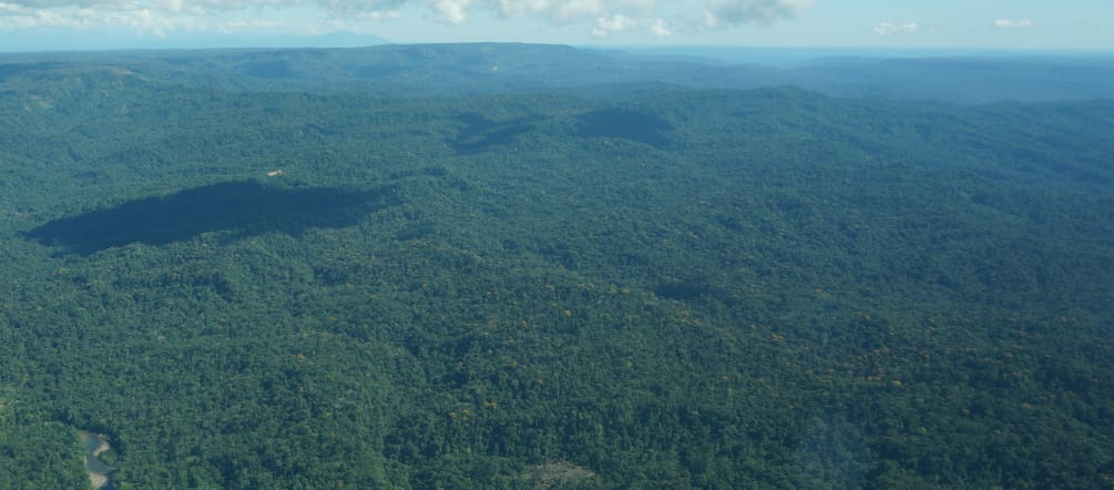 Veduta aerea della foresta degli indigeni Sápara nell'Amazzonia ecuadoriana