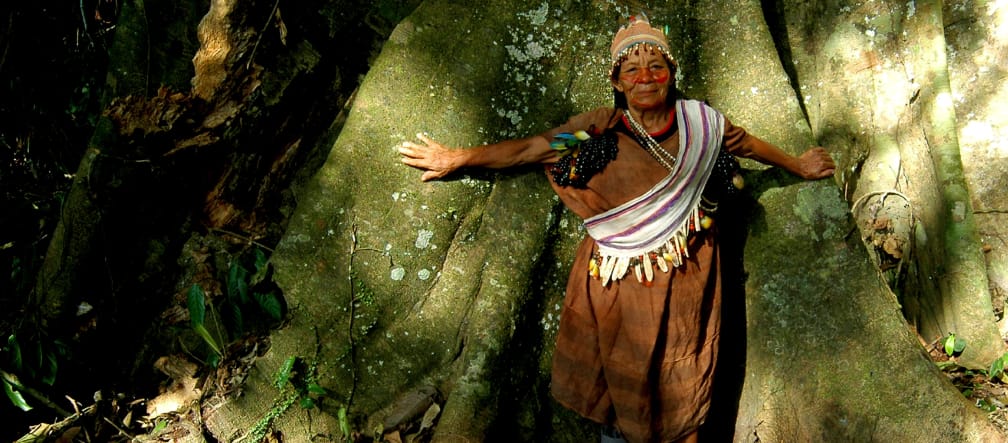 Un guardiano della foresta