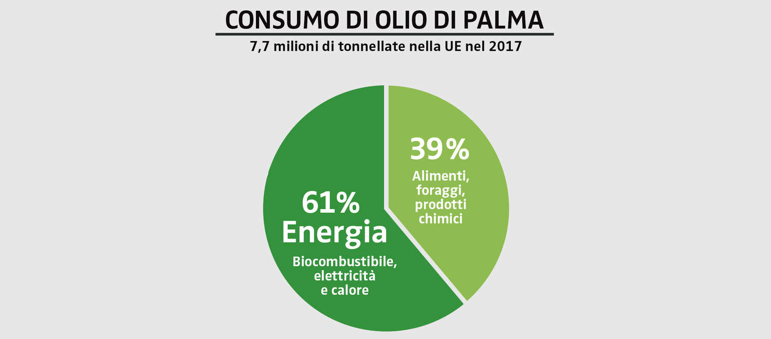 Consumo di olio di palma nella UE nel 2017