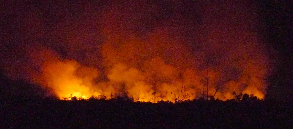 Incendio forestale